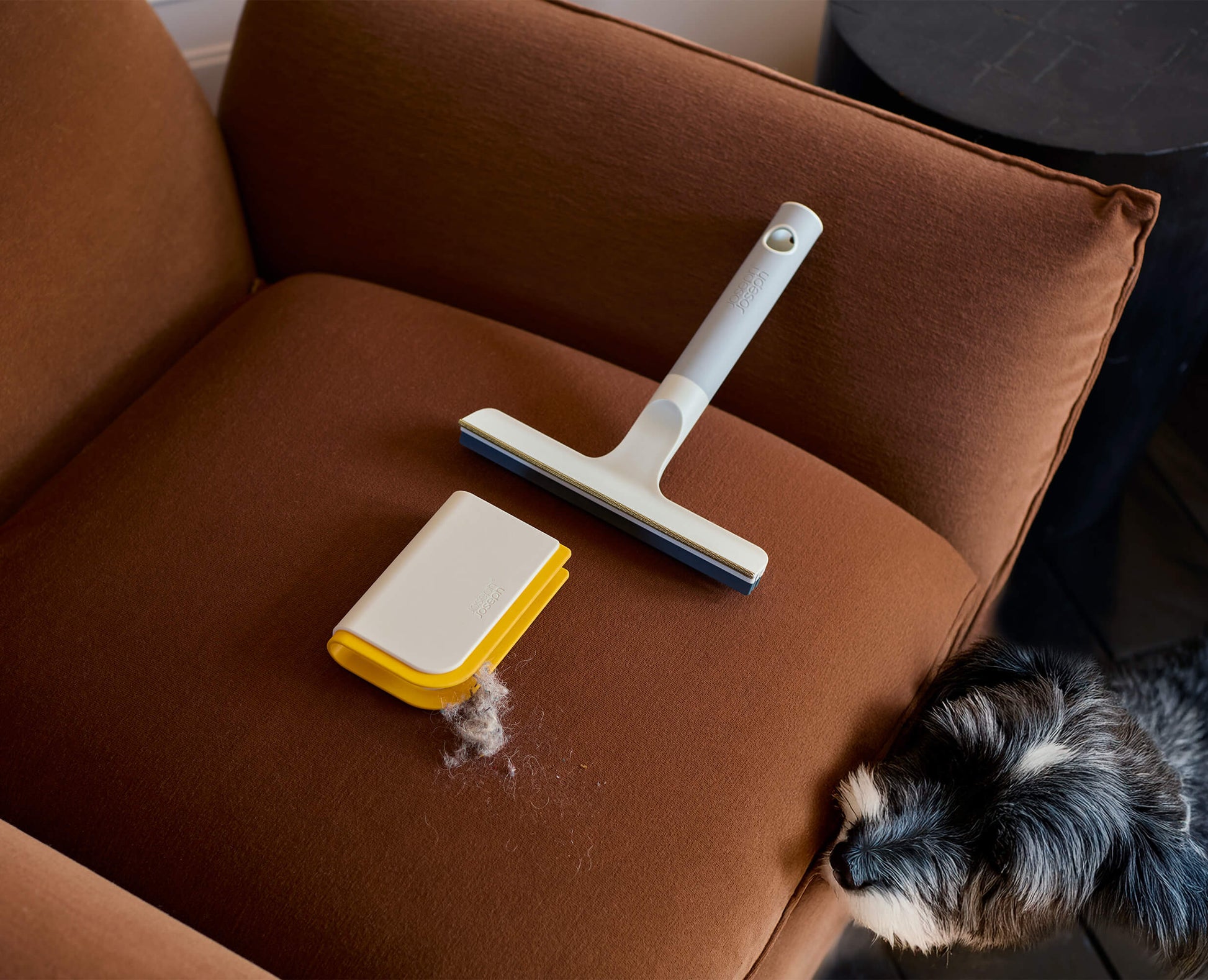 CleanTech™ Pet Hair & Carpet Cleaning Set