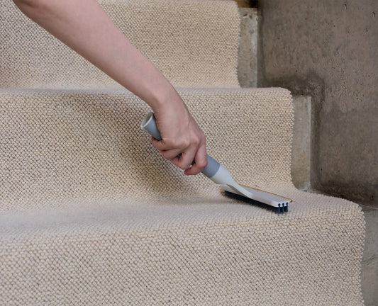 [hidden] [lifestyle] CleanTech™ 2-in-1 Carpet Cleaning Tool