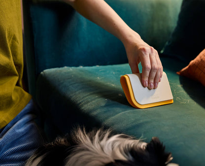 [half-width] CleanTech™ 3-in-1 Pet Hair Cleaning Tool