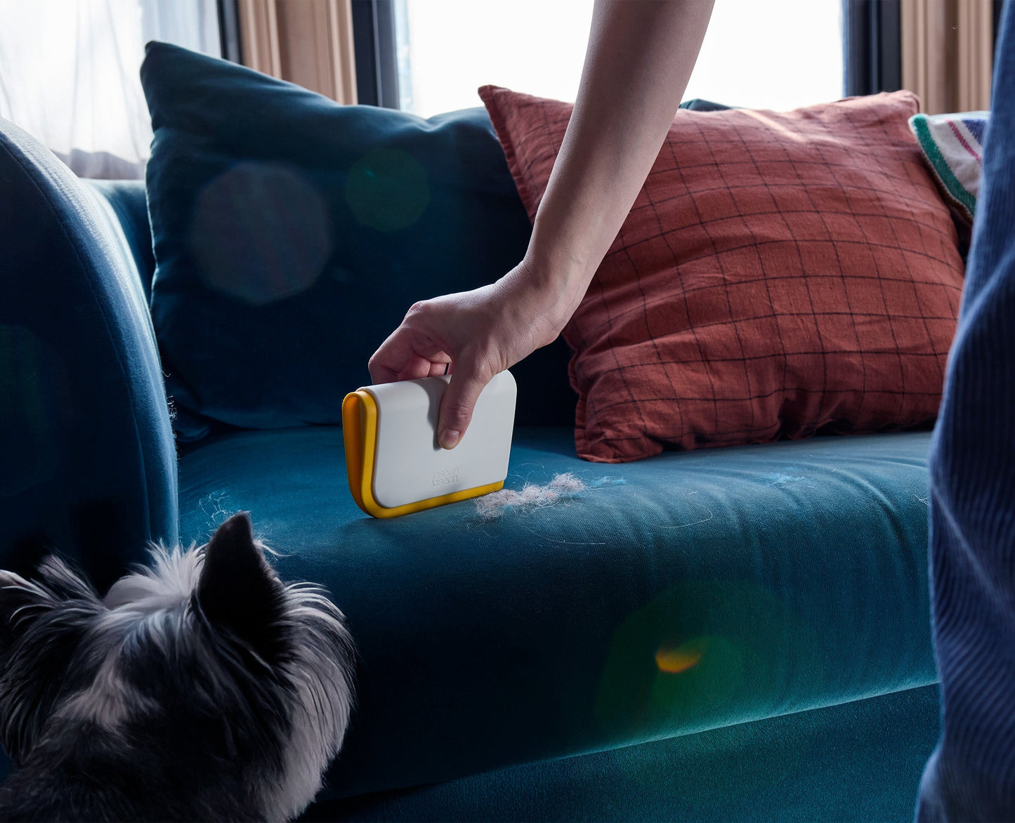 [half-width] CleanTech™ Pet Hair & Carpet Cleaning Set