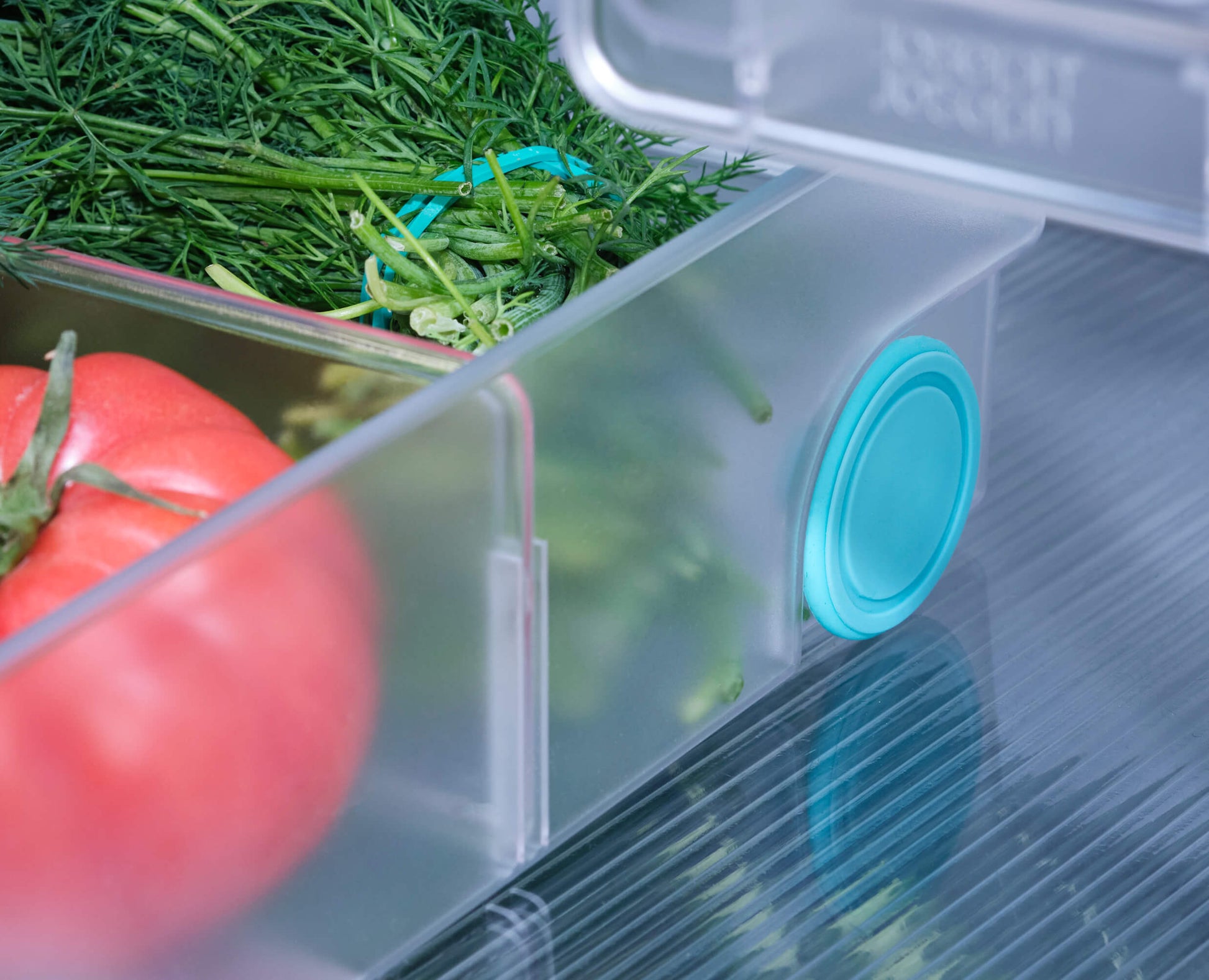 [half-width] FridgeStore™ Extra Large Storage Bin